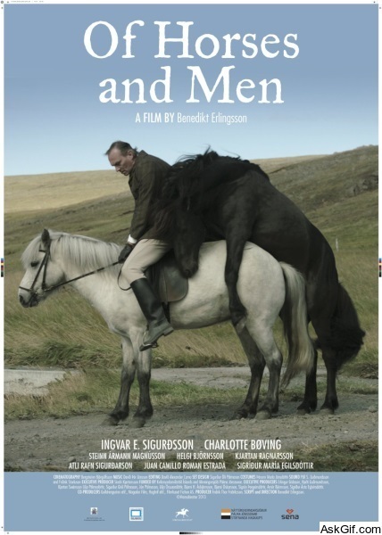 Of Horses and Men