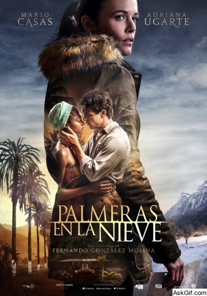 Palm Trees in the Snow