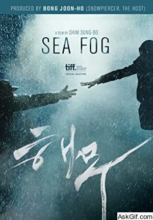 Sea Fog