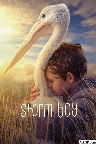 Storm Boy