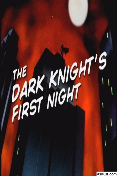 The Dark Knight's First Night