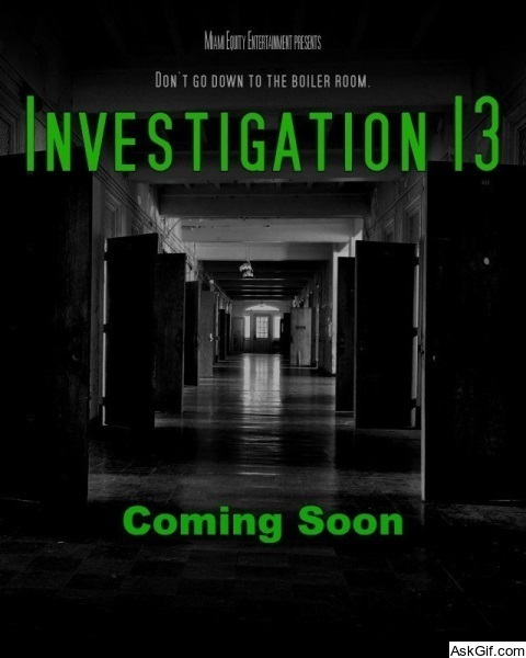 Investigation 13