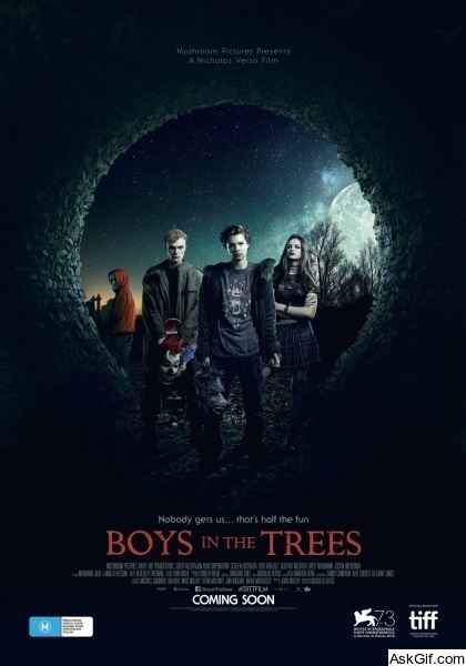 Boys in the Trees