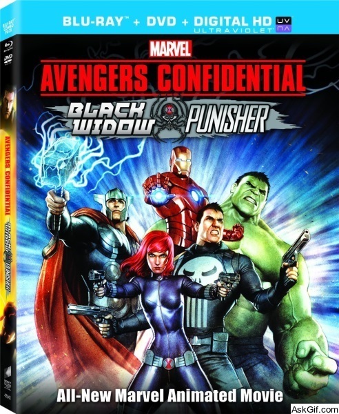 Avengers Confidential: Black Widow & Punisher