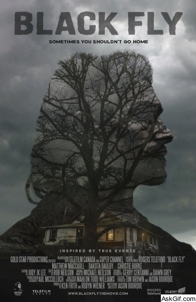 Black Fly