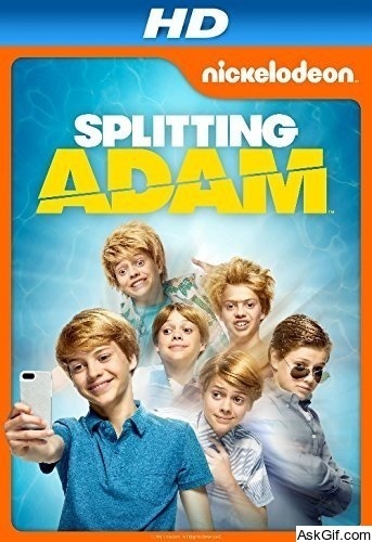 Splitting Adam
