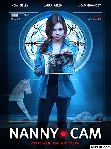 Nanny Cam
