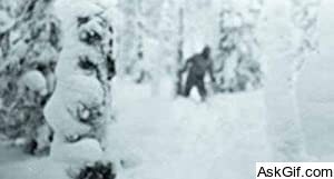 Russian Yeti: The Killer Lives