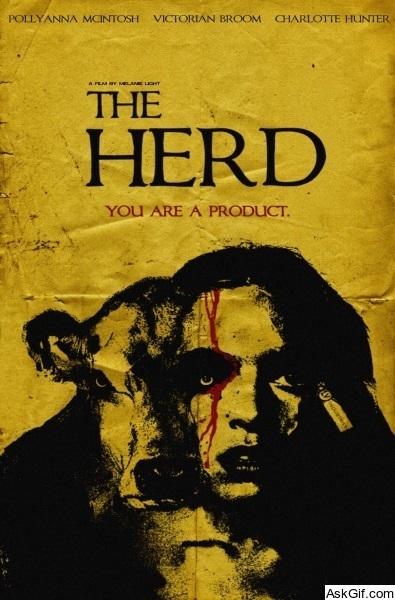 The Herd