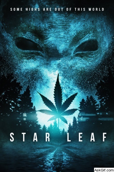 Star Leaf