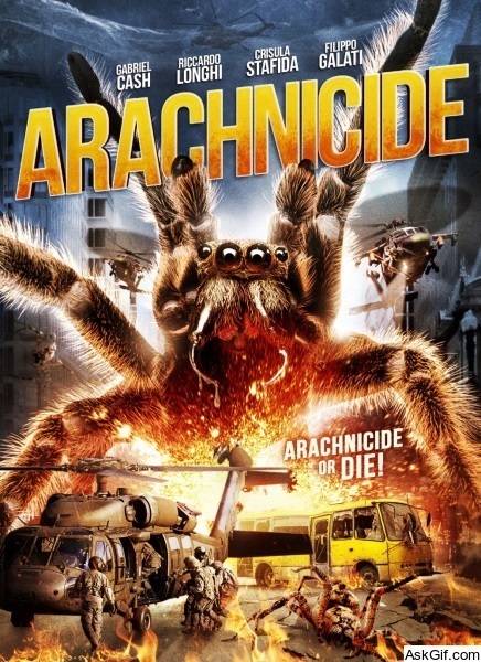 Arachnicide