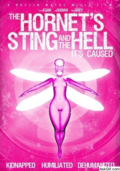 The Hornet's Sting and the Hell It's Caused