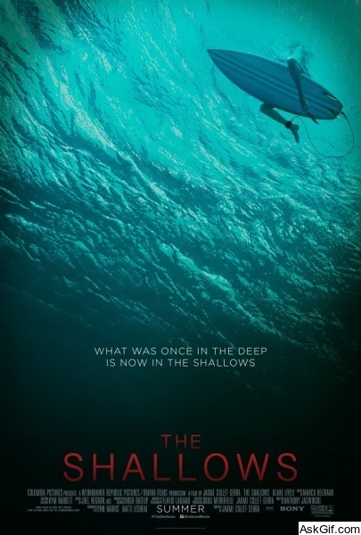 The Shallows