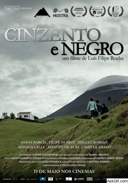 Cinzento e Negro