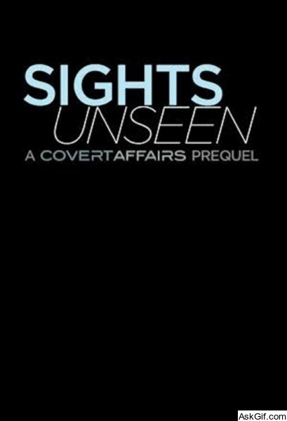 Covert Affairs: Sights Unseen