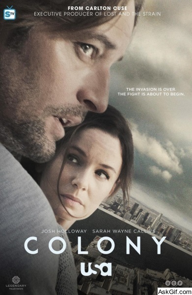 Colony