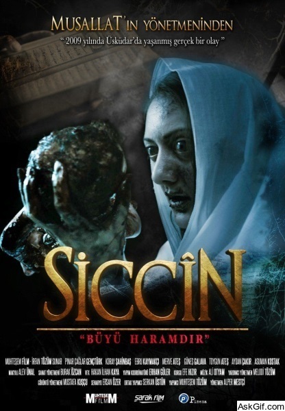 Siccin