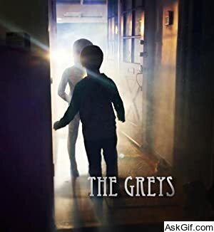 The Greys
