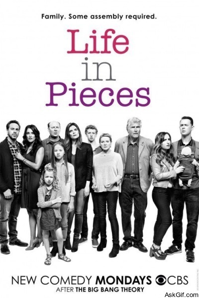 Life in Pieces