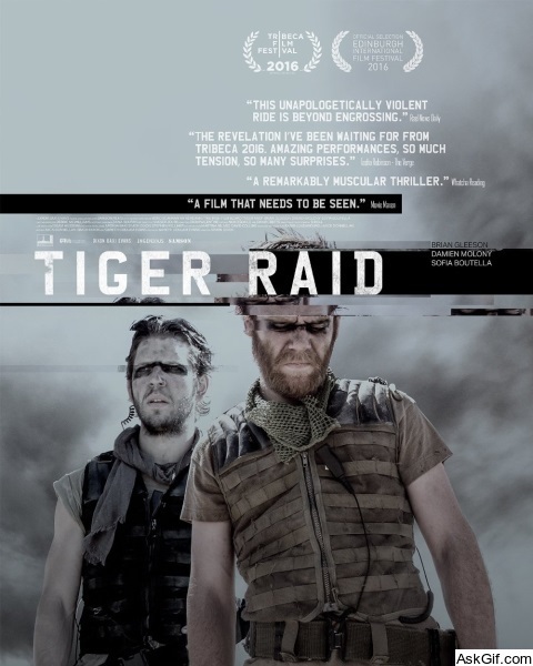 Tiger Raid