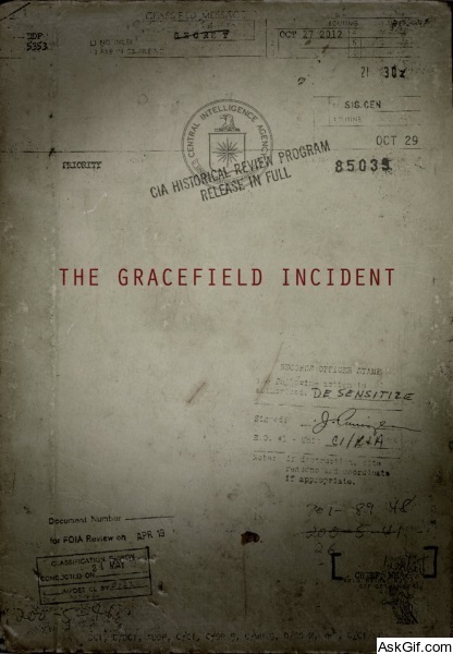 The Gracefield Incident