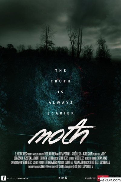 Moth