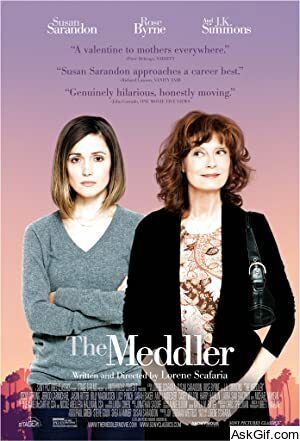 The Meddler