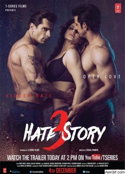 Hate Story 3