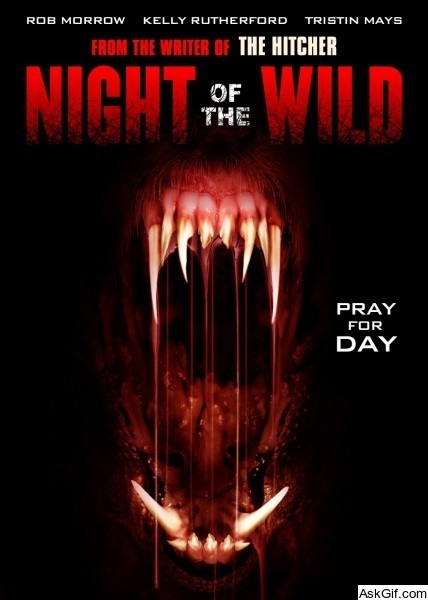 Night of the Wild