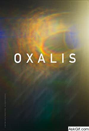 Oxalis