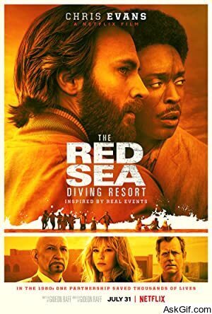 The Red Sea Diving Resort