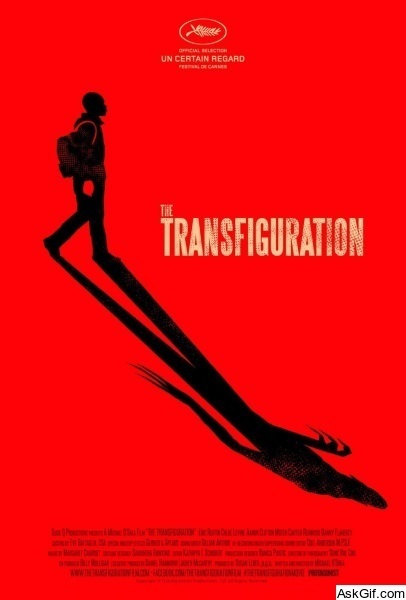 The Transfiguration