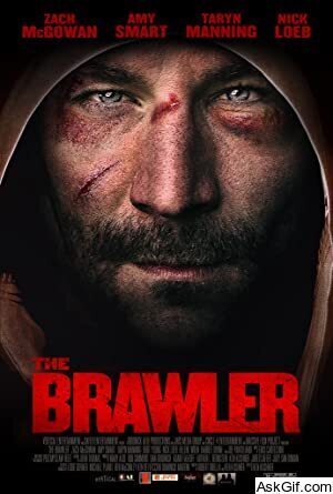 The Brawler