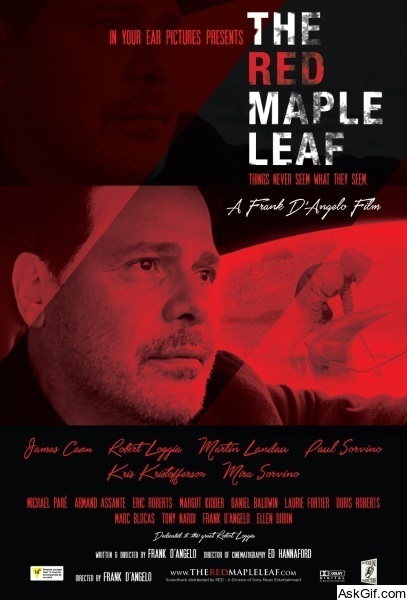 The Red Maple Leaf