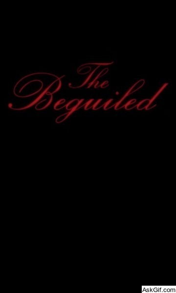 The Beguiled