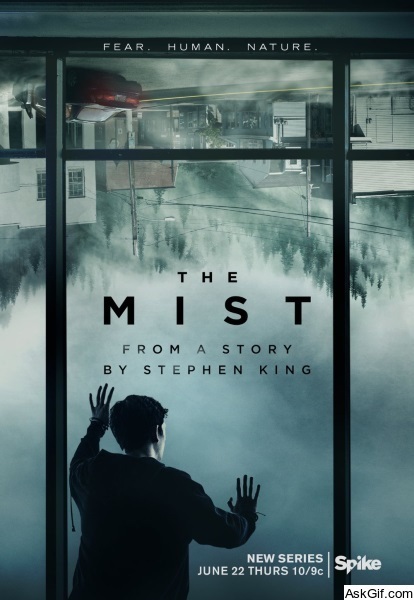 The Mist