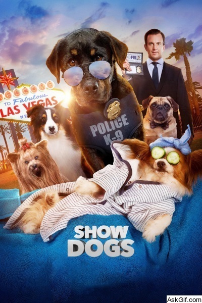 Show Dogs