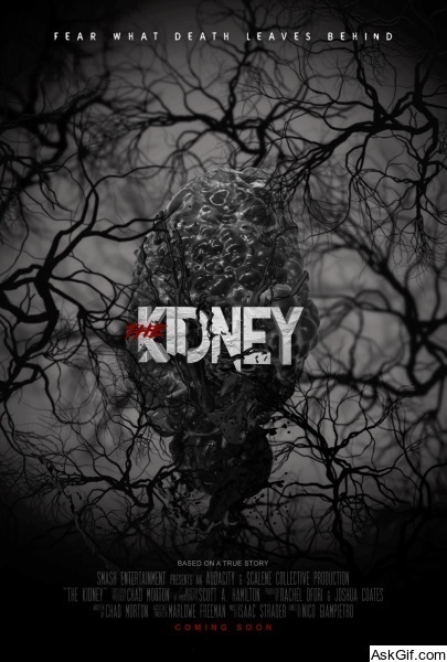 What Death Leaves Behind