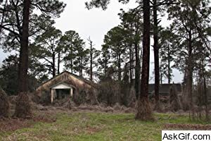 Deadly Secrets: The Lost Children of Dozier