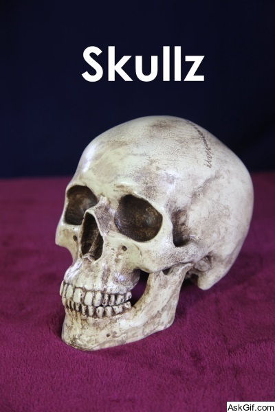 Skullz