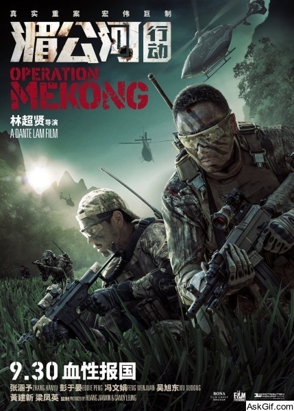 Operation Mekong