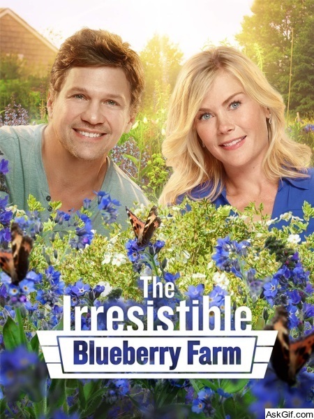The Irresistible Blueberry Farm