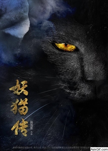 Legend of the Demon Cat