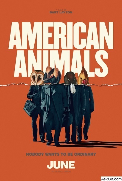 American Animals