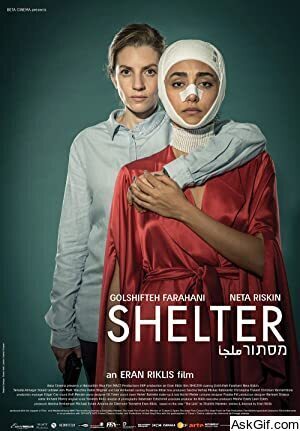 Shelter