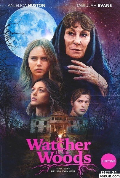 The Watcher in the Woods