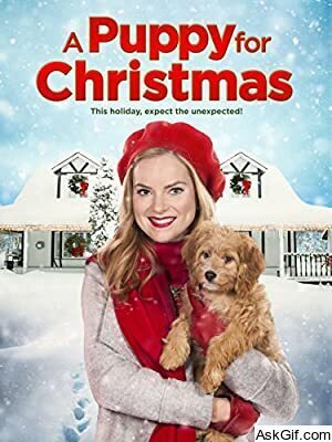 A Puppy for Christmas