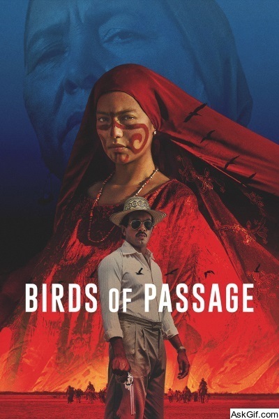 Birds of Passage