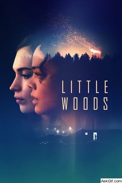 Little Woods