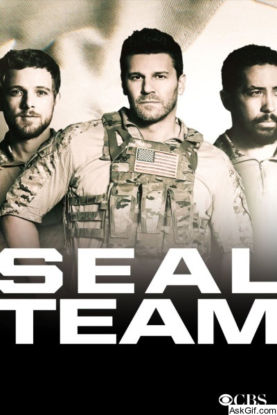 SEAL Team
